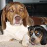 Ann Mcbrayer Photo 1