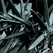 Marcie Sharp Photo 14