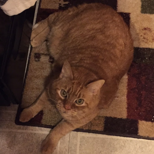 Danielle Lester Photo 18