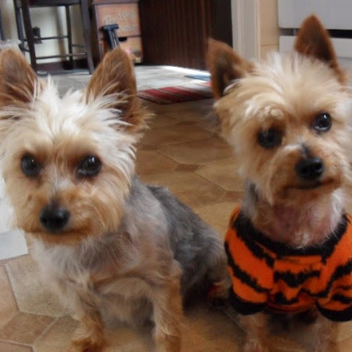 Brenda Murphy Photo 10