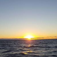 Angela Dallas Photo 28