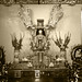 Hui Zeng Photo 11