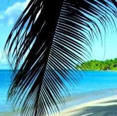 Allen Whitaker Photo 29