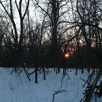 Mark Kranz Photo 12
