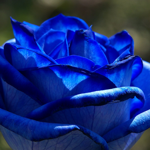 Cynthia Clarke Photo 35