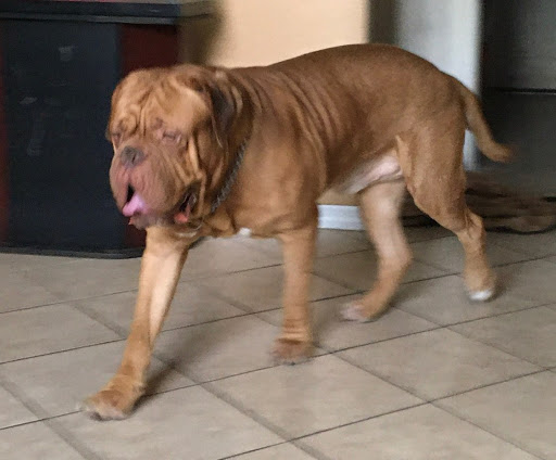 James Palmer Photo 56