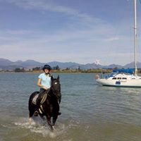 Debra Gardiner Photo 15
