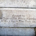 Joan York Photo 10