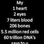 Joseph Moss Photo 19