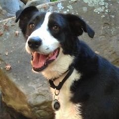 David Graff Photo 23 David Graff Photo 23