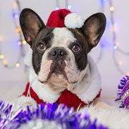 Phyllis Dyke Photo 8