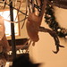 Sue Cook Photo 5