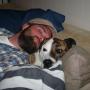Stephen Booth Photo 47