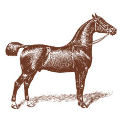 Meg Hamilton Photo 26