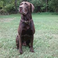 Anthony Julian Photo 15