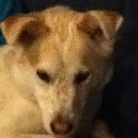 Amber Payne Photo 17