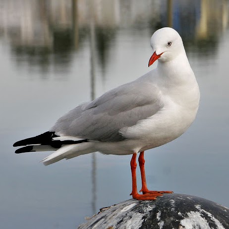 Maureen Wright Photo 26