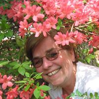 Janet Weston Photo 16