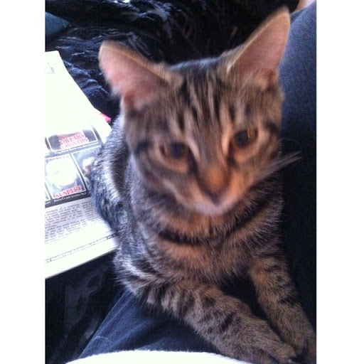 Donna Smart Photo 30 Donna Smart Photo 30