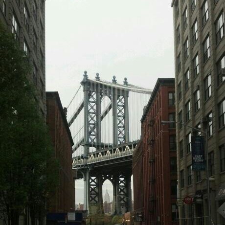 Anthony Palladino Photo 3