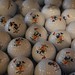 Donald Ball Photo 11