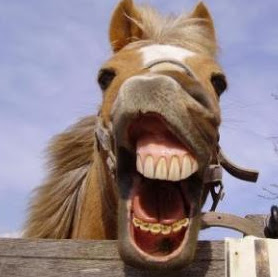 Jerome Thornton Photo 3