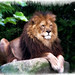 Leon Fox Photo 15