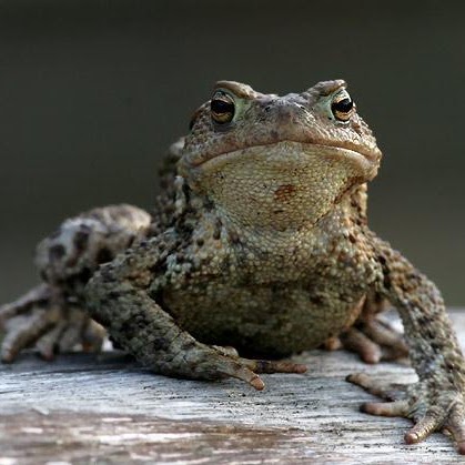 Bill Barton Photo 44