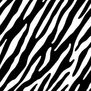 Zebra Stripes Photo 8