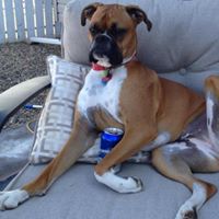 Shawn Mooney Photo 33