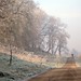 John Shillingford Photo 9