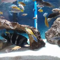 Troy Frazier Photo 14