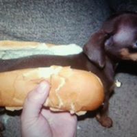 Joanne Kelly Photo 44