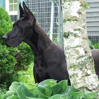 Rick English Photo 43