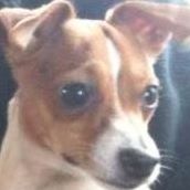 Holly Mccabe Photo 10