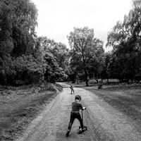 Daniel Weller Photo 9
