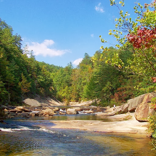 Connie Butts Photo 10