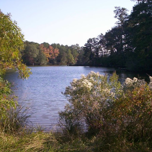 Maria Devine Photo 10