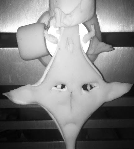 Mack Robertson Photo 5