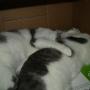 Debra Mchenry Photo 9