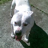 Nellie Cook Photo 11
