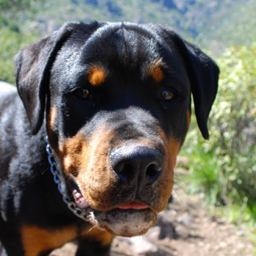 Christopher Burger Photo 32