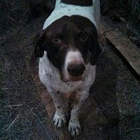 Mike Anglin Photo 10