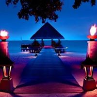 Billy Springer Photo 10