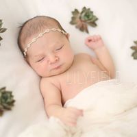 Phyllis Wood Photo 4