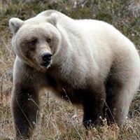 Shirley May Photo 10