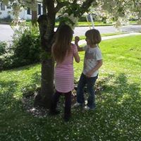 Kristine Collins Photo 21