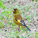 Dan Finch Photo 7