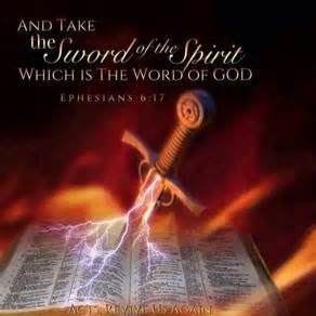 William Lander Photo 19