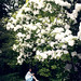 Alice Helms Photo 22